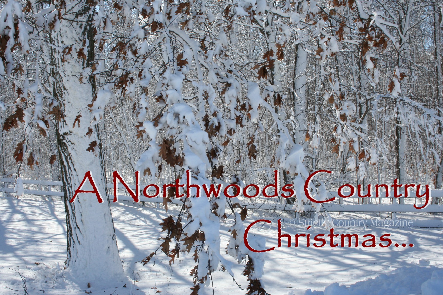 Strictly Country copyright A Northwoods Country Christmas Christmas logo