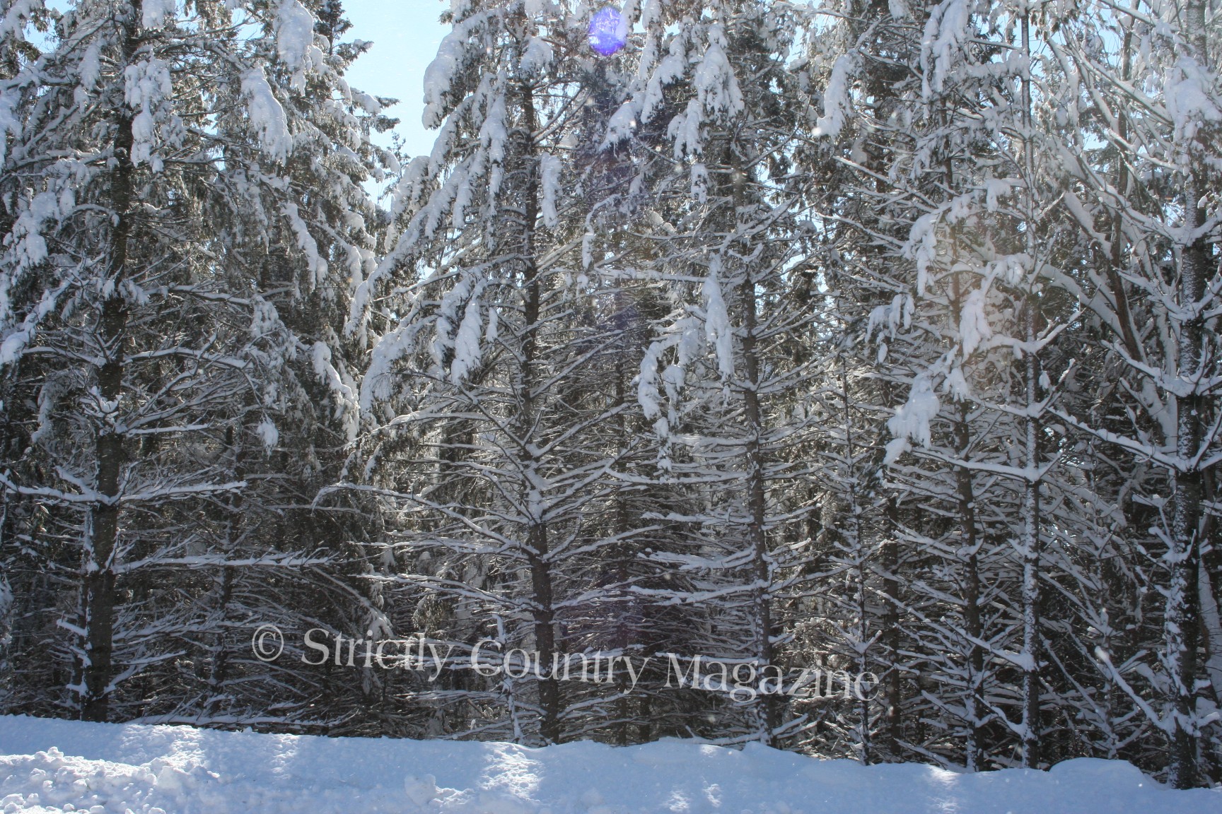 Strictly Country Magazine Copyright A Northwoods Country Christmas 25 Romantic Days of Christmas image