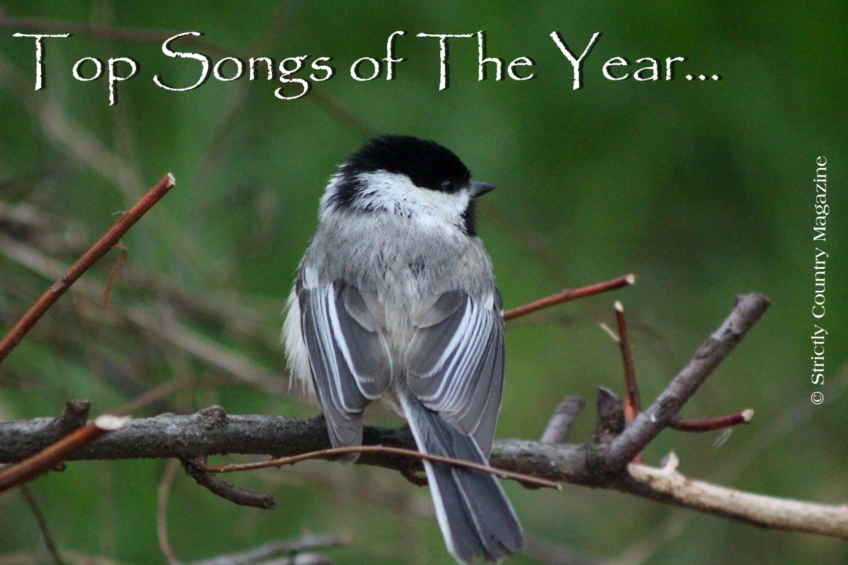Strictly Country copyright Songs of The Year title