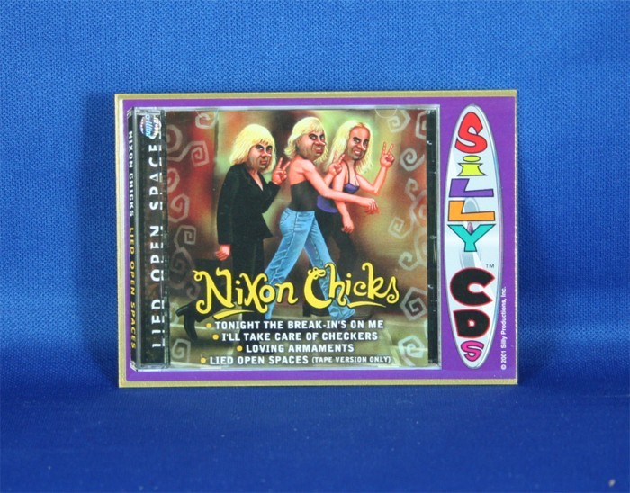 Dixie Chicks - Silly Cd's trading card #23
